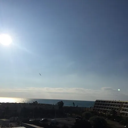 大自然魅力公寓 公寓 *